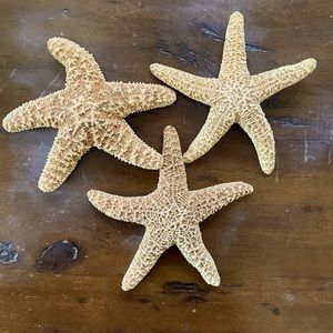 Starfish decor